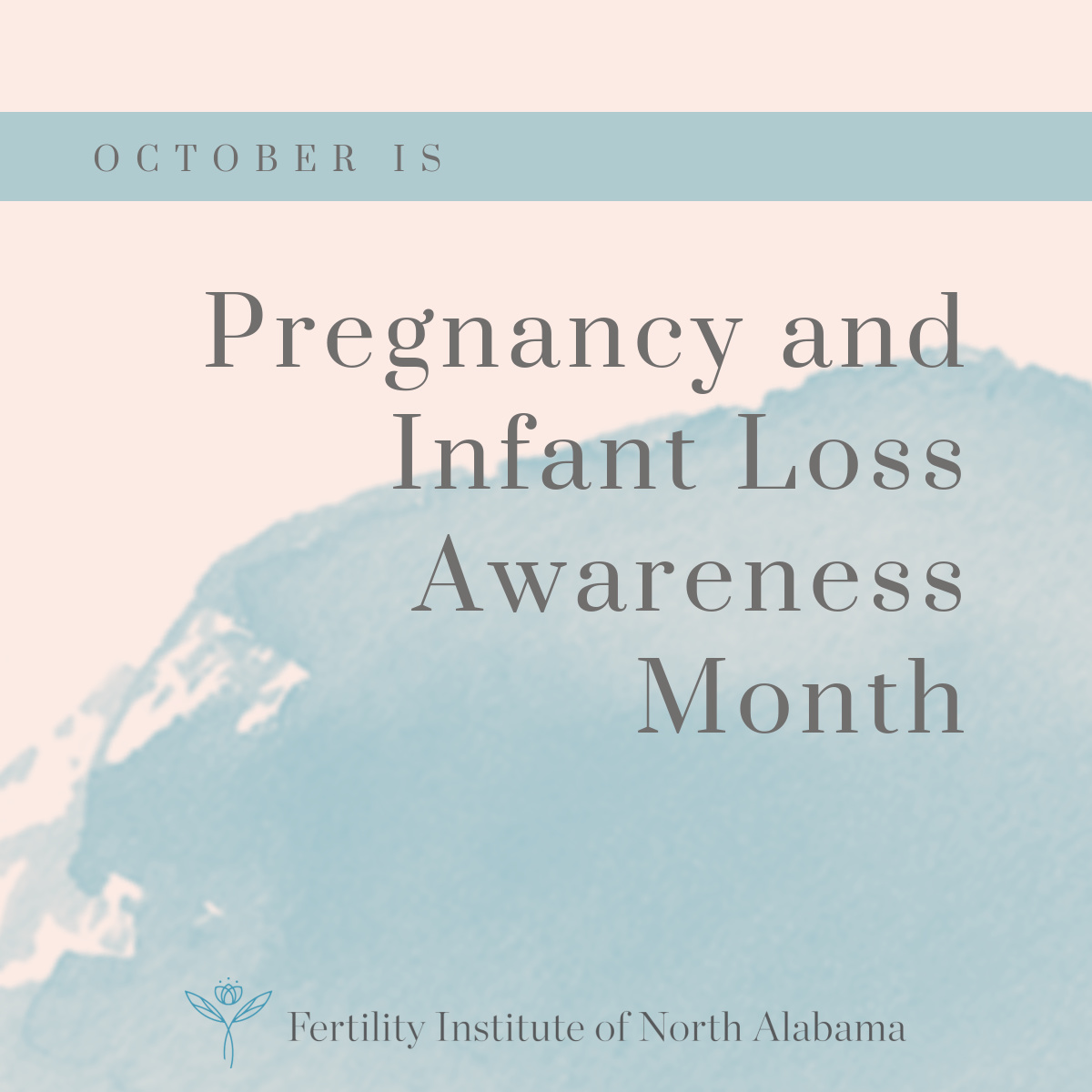 Pregnancy & Infant Loss Awareness Month – Fina 