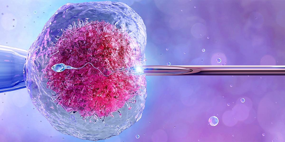 Fertility Institute of North Alabama