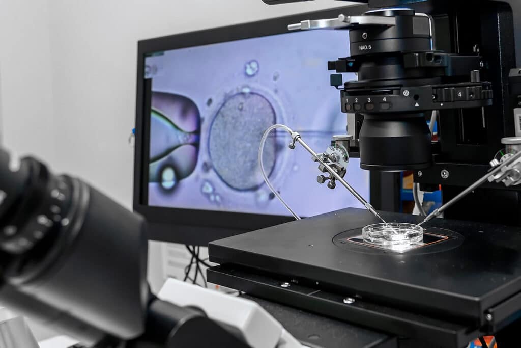 A real embryology-lab image showing a blastocyst biopsy in progress, with the embryo held by one pipette while a biopsy pipette removes a small group of trophectoderm cells for preimplantation genetic testing.