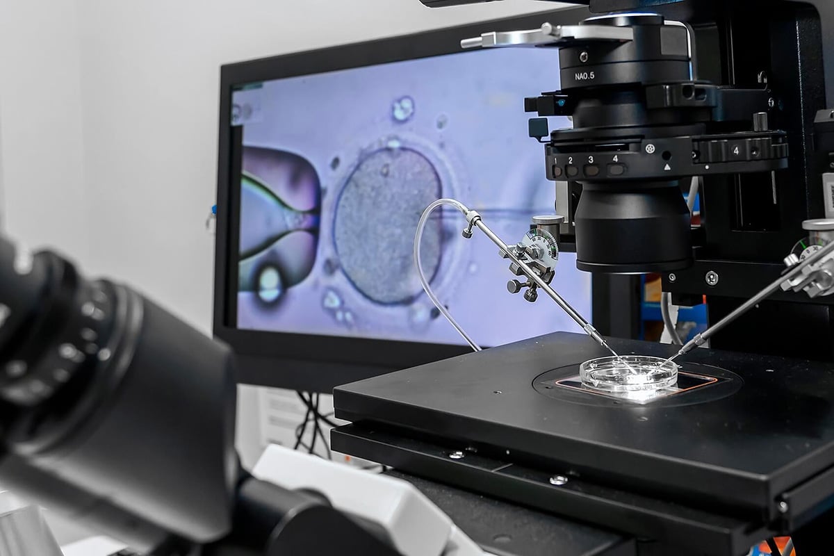 What Is Preimplantation Genetic Testing (PGT)?